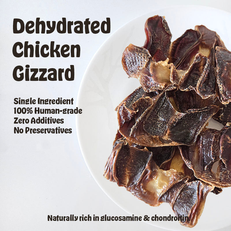 Dehydrated Chicken Gizzard