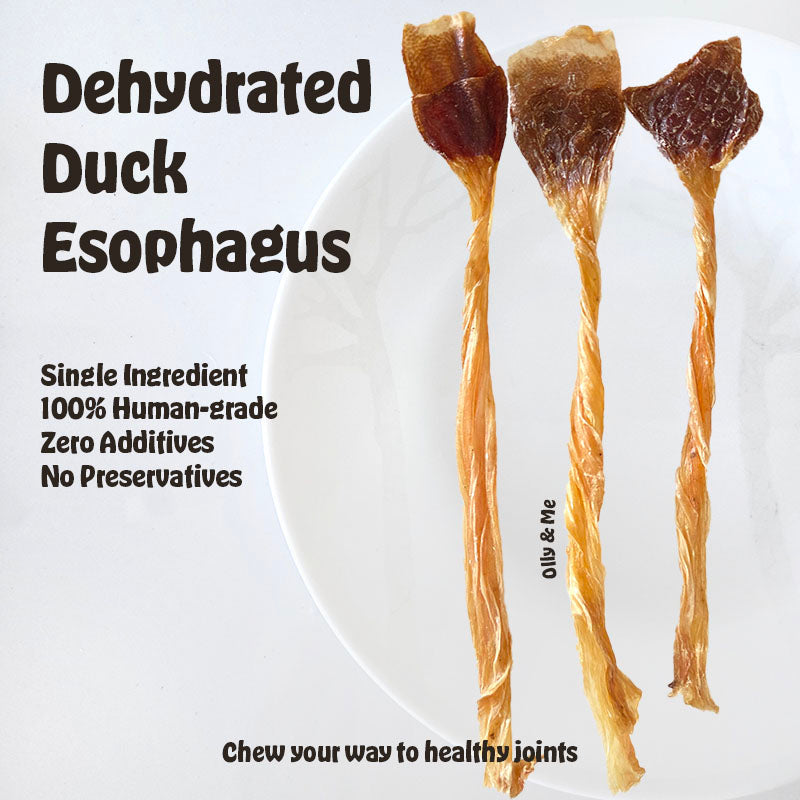 Dehydrated Duck Esophagus 5pcs