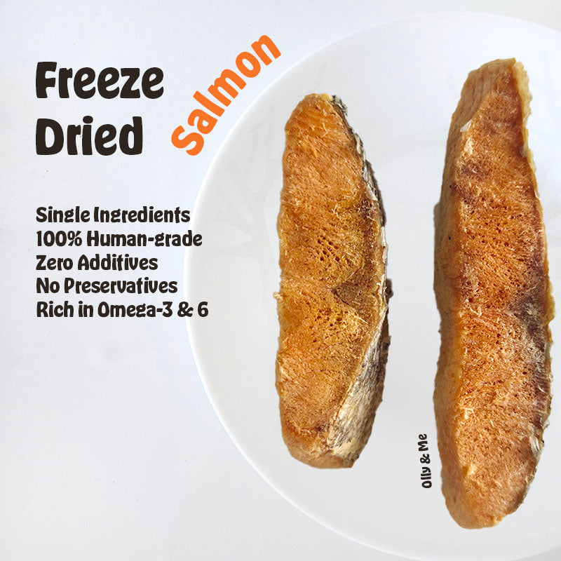 Freeze Dried Salmon 25g