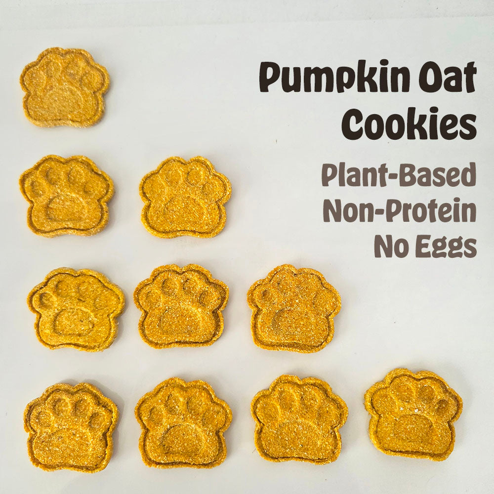 Pumpkin & Oat Cookies 8pcs (Plant-based Non Protein Treats)