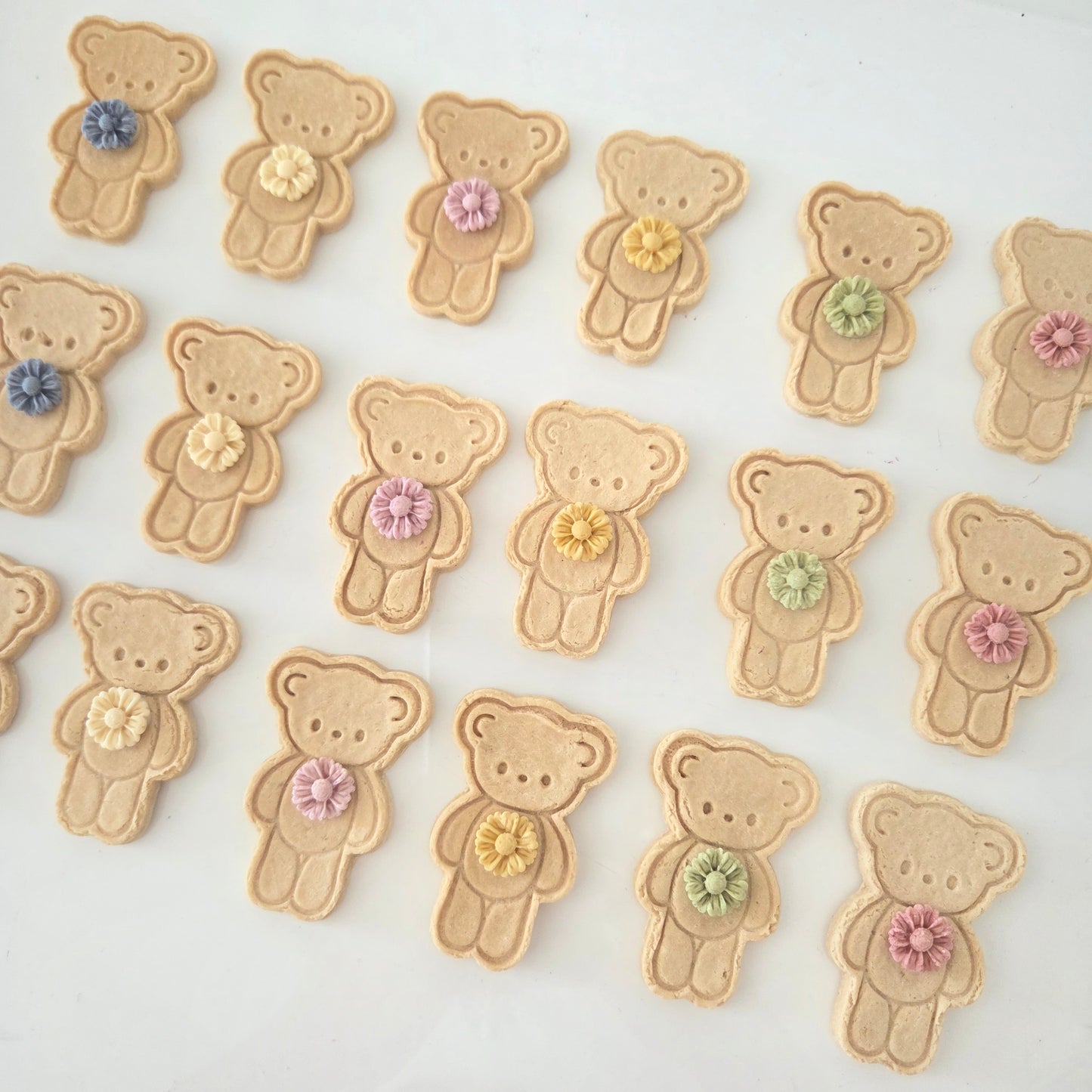 Teddy Bear Club Cookie 6PCs [Chicken Base]