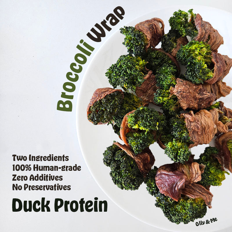 Dehydrated Broccoli Wrap 50g