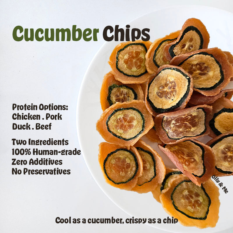 Dehydrated Cucumber Chips 50g