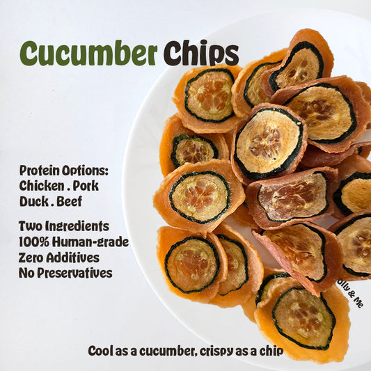 Dehydrated Cucumber Chips 50g
