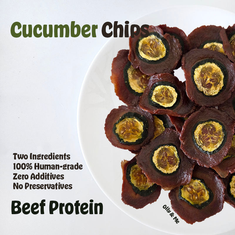 Dehydrated Cucumber Chips 50g