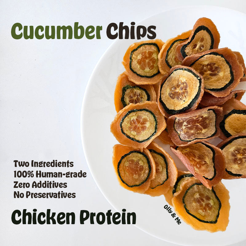 Dehydrated Cucumber Chips 50g