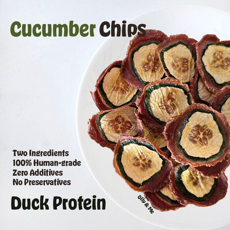 Dehydrated Cucumber Chips 50g