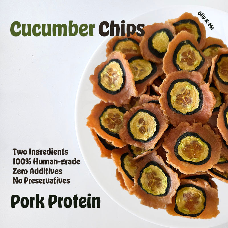 Dehydrated Cucumber Chips 50g