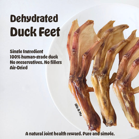 Dehydrated Duck Feet 10Pcs