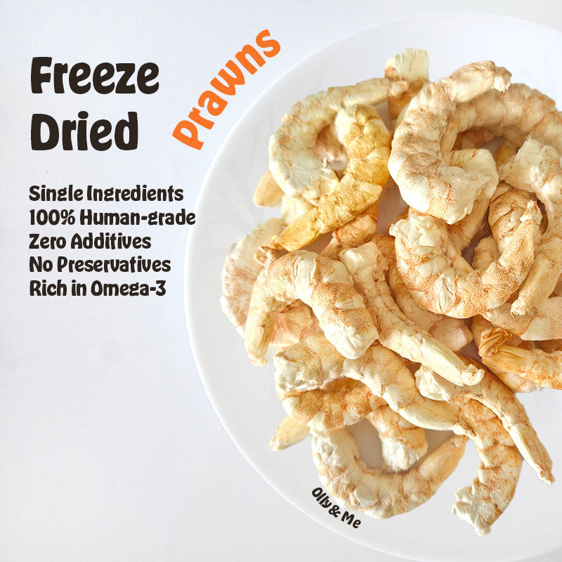 Freeze Dried Prawns 20g