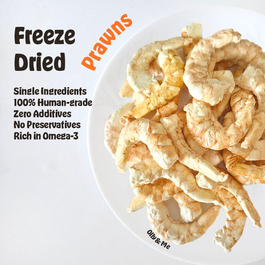 Freeze Dried Prawns 20g